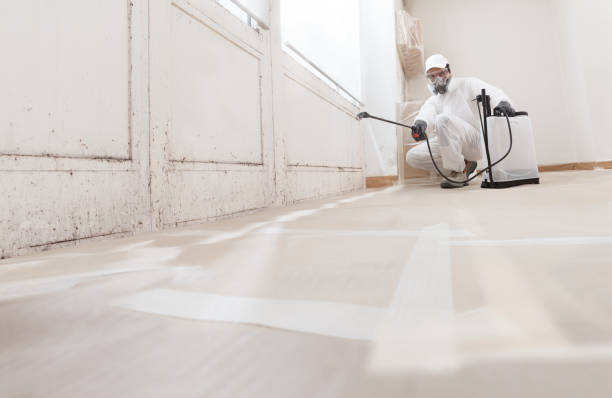 24/7 Emergency Attic Mold Removal experts in Addison, TX